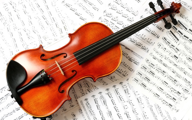 Tuyển giáo viên dạy violin Hà Nội